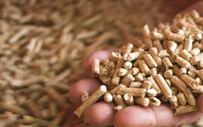 Pelet Sobasnn Istma Performans